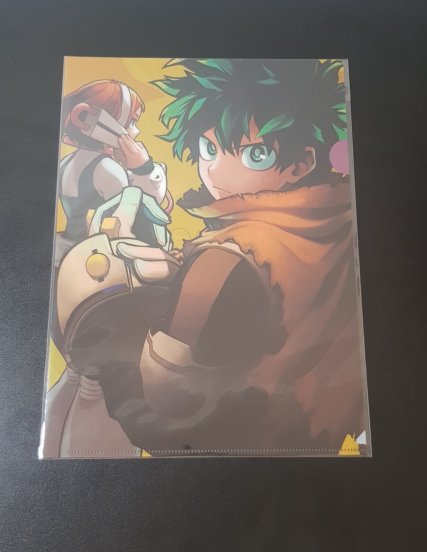 Clear File My Hero Academia