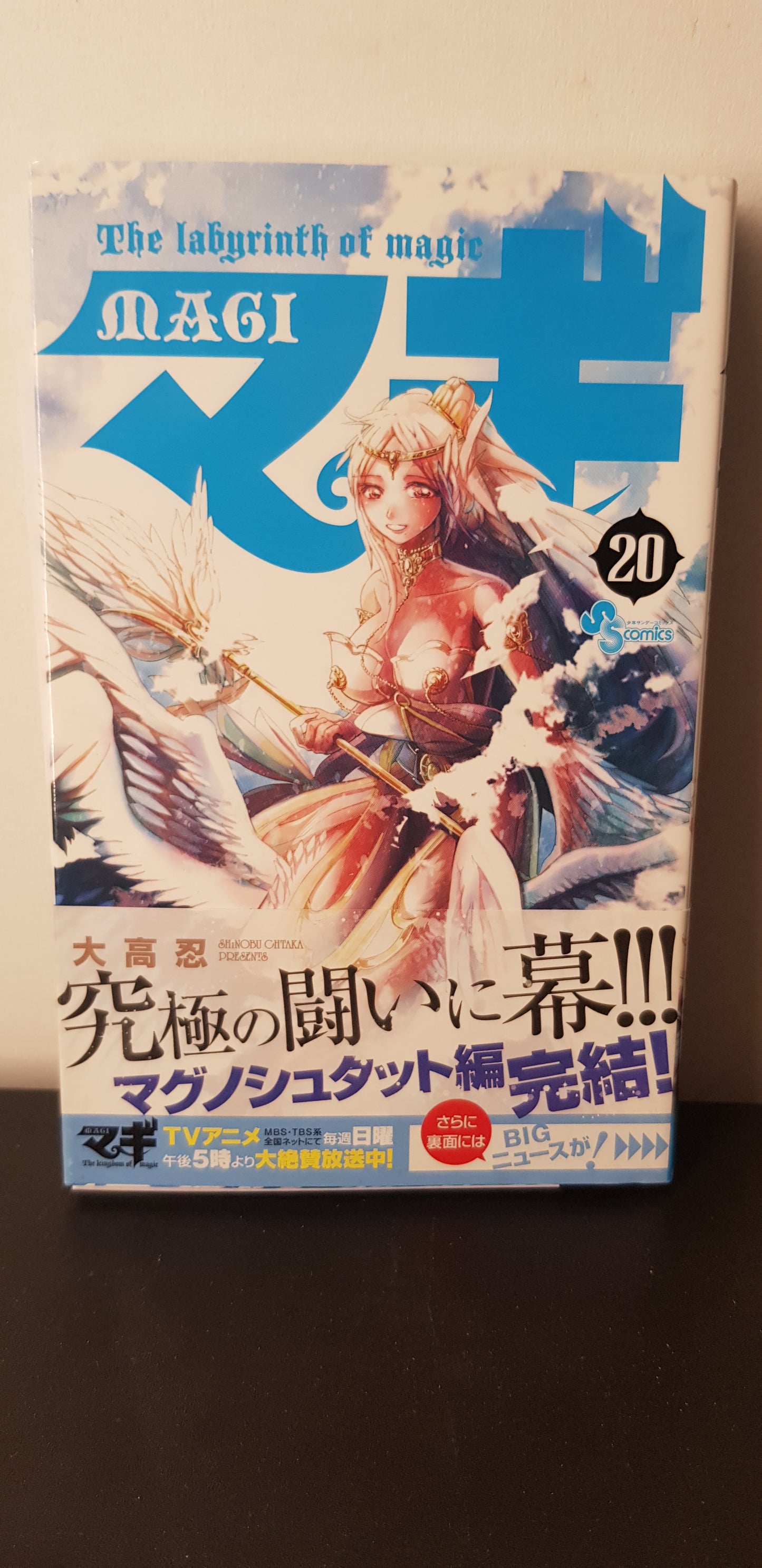 Magi : Le Labyrinthe de la Magie 20 - Edition Japonaise