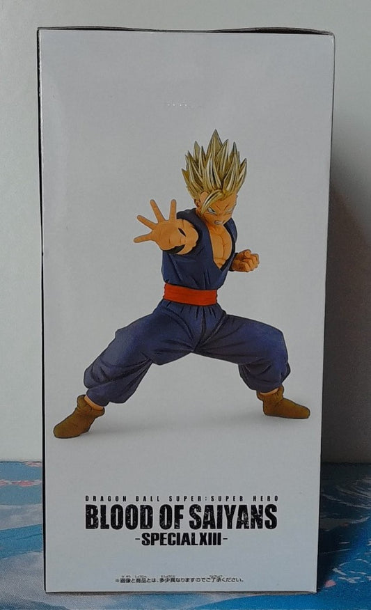 Figurine Dragon Ball Z Blood Of Saiyans Special XIII